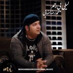 دانلود آهنگ محمدرضا رضایی لیلی بی رحم